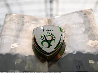 FAI to appoint CEO and develop...